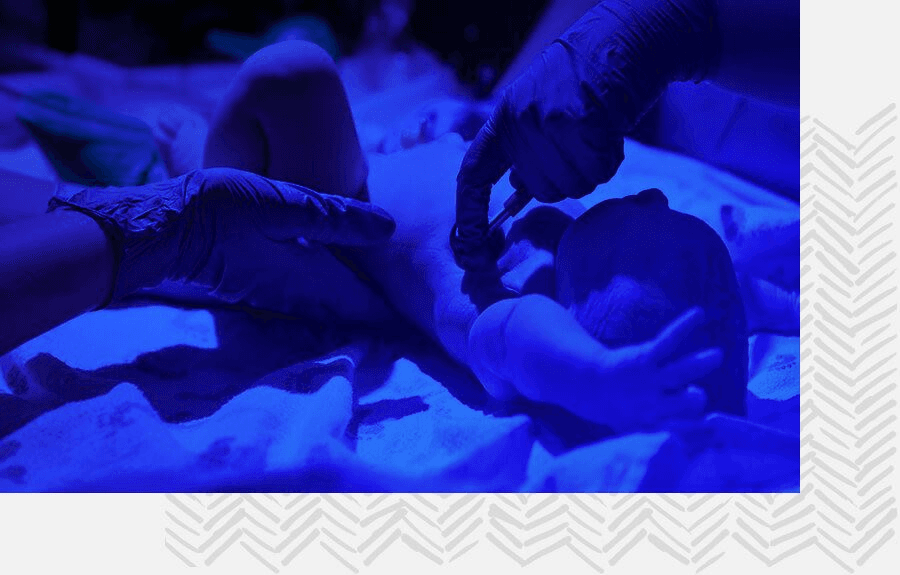 Imagem without description